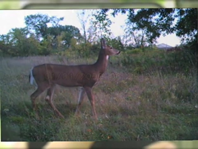 SpyPoint&#153; Pro - X 12 - megapixel Game Camera - image 6 from the video