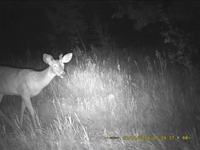 SpyPoint&#153; Pro - X 12 - megapixel Game Camera - image 7 from the video