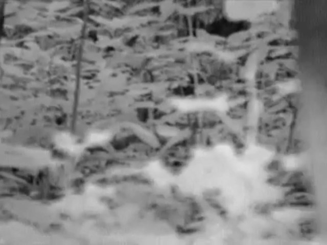 Yukon&#153; Digital&reg; 5x42 Night Vision Monocular - image 3 from the video