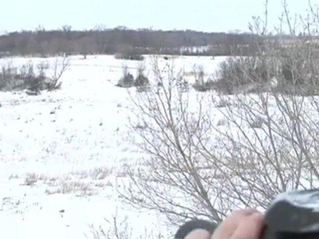 Steiner&reg; 12x40 mm Big Horn Binoculars - image 6 from the video
