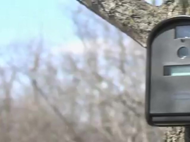 Moultrie&reg; Plot Stalker&#153; 8.0MP Game Camera - image 10 from the video