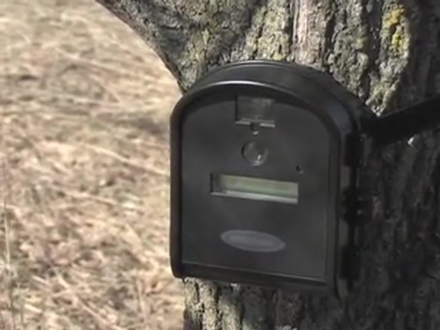 Moultrie&reg; Plot Stalker&#153; 8.0MP Game Camera - image 6 from the video