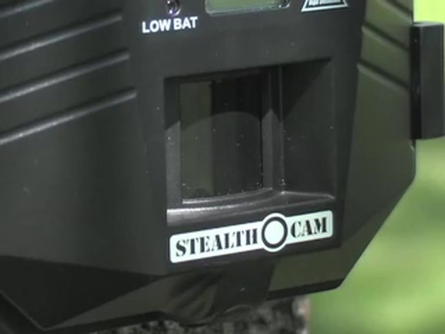 Stealth&reg; Prowler HD Digital Game Camera - image 10 from the video