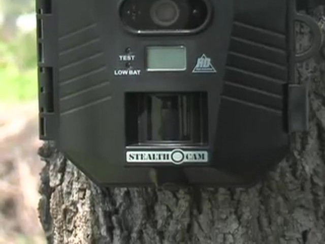 Stealth&reg; Prowler HD Digital Game Camera - image 3 from the video