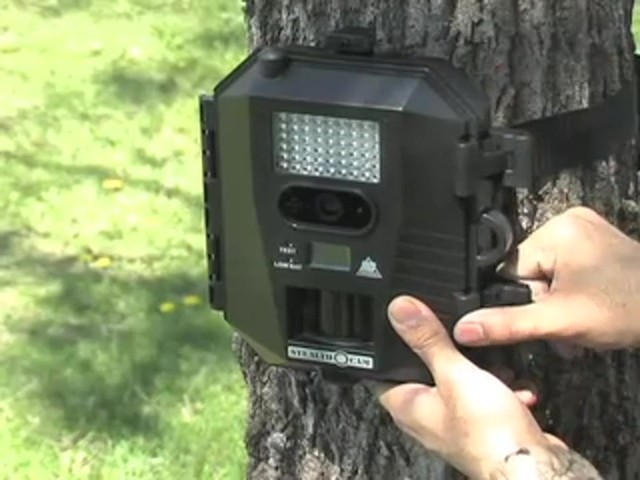 Stealth&reg; Prowler HD Digital Game Camera - image 6 from the video