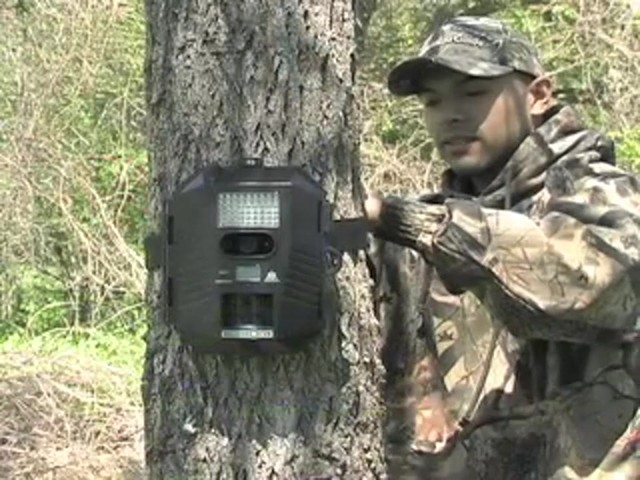 Stealth&reg; Prowler HD Digital Game Camera - image 9 from the video