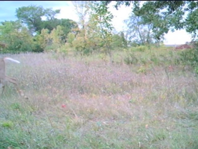 Archer's Choice&reg; 8MP IR Game Camera - image 7 from the video