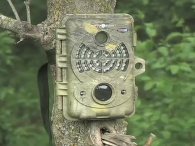 SpyPoint™ Bloodline 7 MP Infrared Digital Game Camera - image 1 from the video