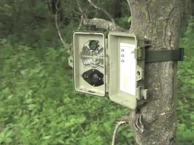SpyPoint™ Bloodline 7 MP Infrared Digital Game Camera - image 6 from the video