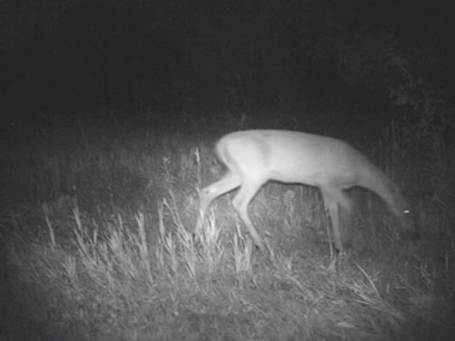 Simmons&reg; 5 MP Infrared Trail Camera - image 6 from the video