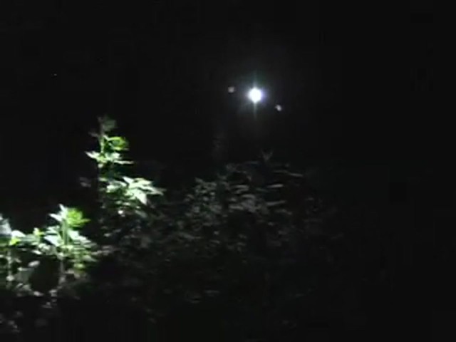 Browning&reg; VXT Flashlight Matte Black - image 1 from the video