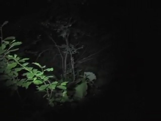 Browning&reg; VXT Flashlight Matte Black - image 5 from the video