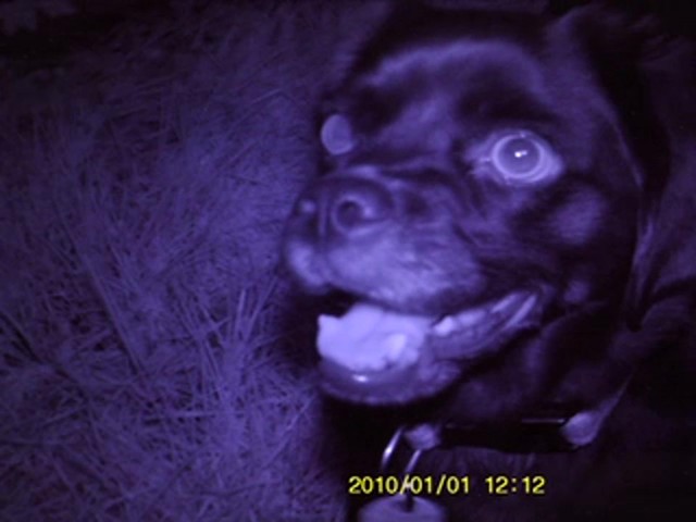 Vivitar&reg; HD Camcorder with Night Vision Kit - image 7 from the video