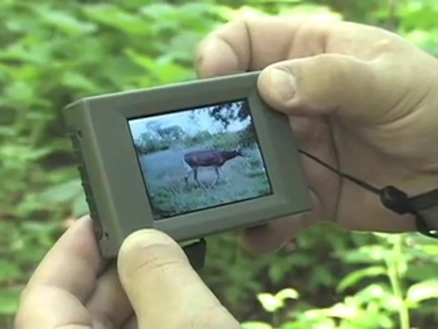Moultrie&reg; Universal Picture Viewer - image 6 from the video