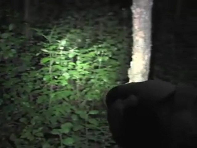 Ruger&reg; 550 - lumen Tactical Light - image 5 from the video
