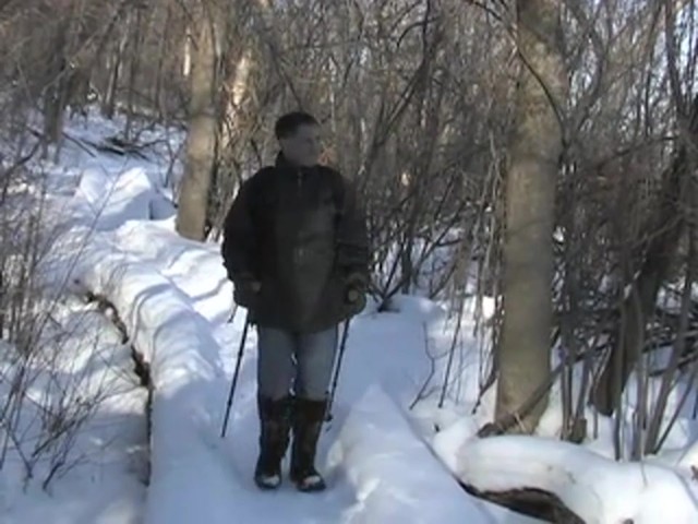 Sweetwater Purification Filter - image 1 from the video