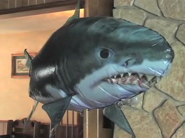 Remote - controlled Air Swimmers&#153; Flying Shark - image 1 from the video
