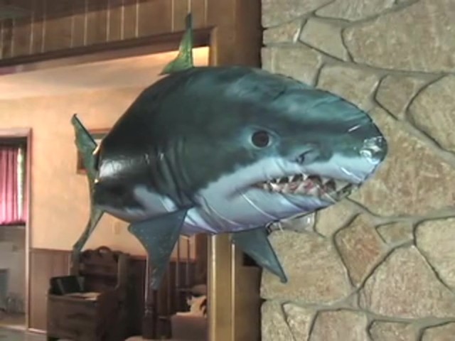 Remote - controlled Air Swimmers&#153; Flying Shark - image 10 from the video