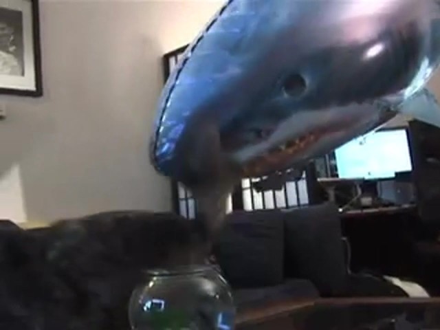 Remote - controlled Air Swimmers&#153; Flying Shark - image 2 from the video