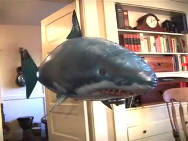 Remote - controlled Air Swimmers&#153; Flying Shark - image 5 from the video