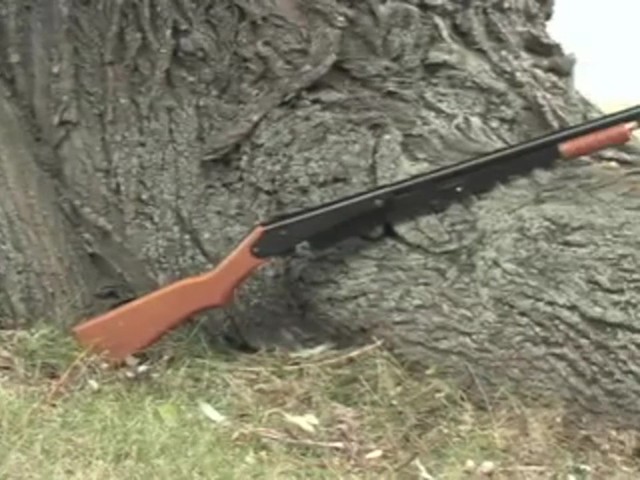 Daisy&reg; Model 25 Pump Gun .177 Air Rifle - image 10 from the video