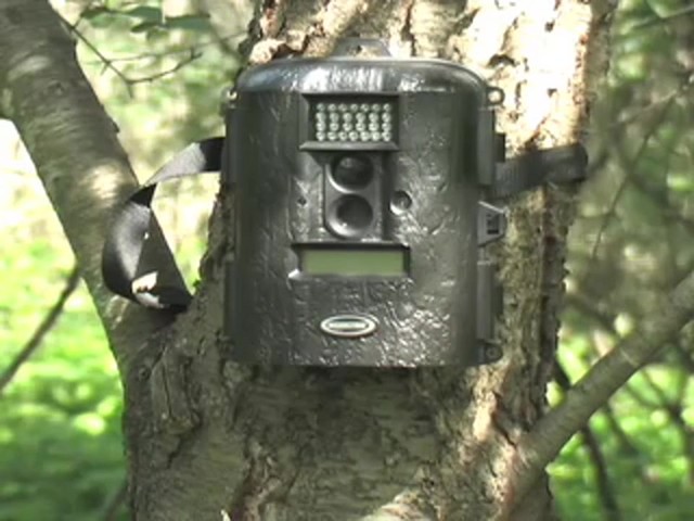 Moultrie&#174; Game Spy&#153; D55IR 5 - megapixel Infrared Trail Camera - image 1 from the video