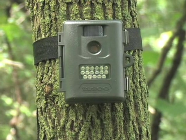 Tasco&reg; 5MP Infrared Trail Camera - image 1 from the video