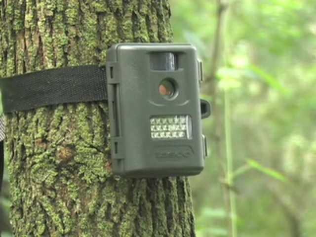 Tasco&reg; 5MP Infrared Trail Camera - image 10 from the video