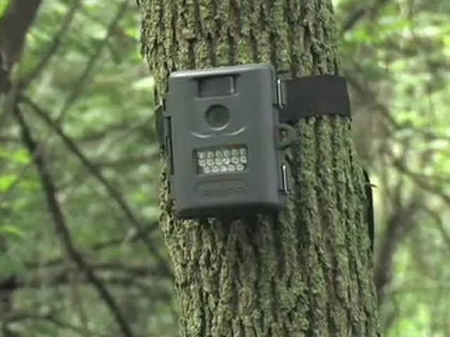 Tasco&reg; 5MP Infrared Trail Camera - image 3 from the video
