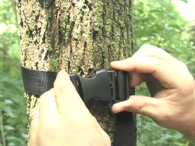 Tasco&reg; 5MP Infrared Trail Camera - image 9 from the video