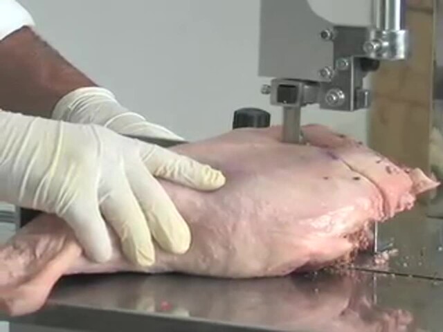 Professional Meat Cutting Band Saw with Built - in Grinder - image 2 from the video