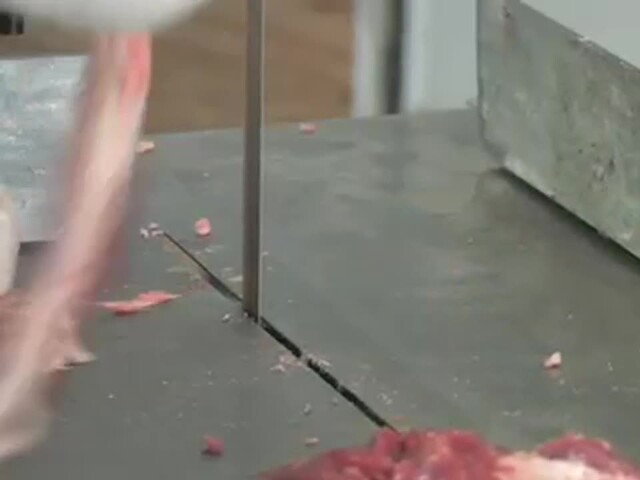 Professional Meat Cutting Band Saw with Built - in Grinder - image 6 from the video