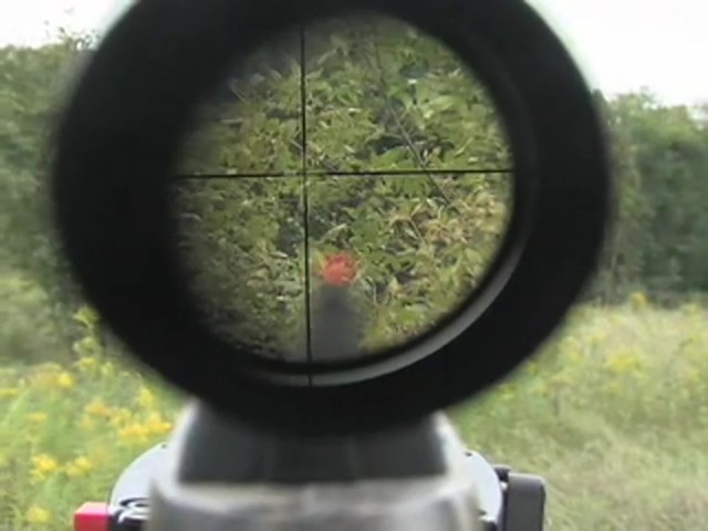 Beeman&reg; Predator .177 cal. Air Rifle with 3 - 9x32 mm Scope  - image 6 from the video