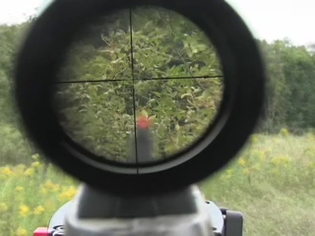Beeman&reg; Predator .177 cal. Air Rifle with 3 - 9x32 mm Scope  - image 7 from the video