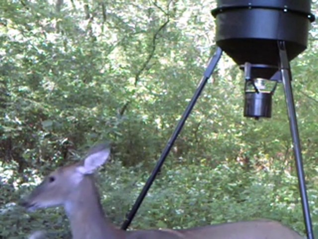 Moultrie&reg; 30 - gallon Pro Hunter Digital Tripod Feeder Black - image 10 from the video
