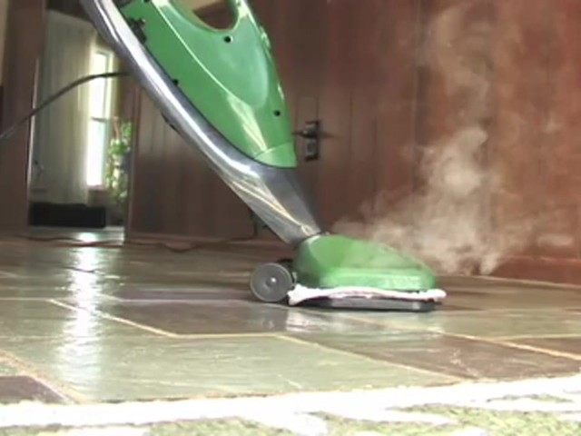 Gruene&reg; 2 - in - 1 Steam Cleaner - image 1 from the video