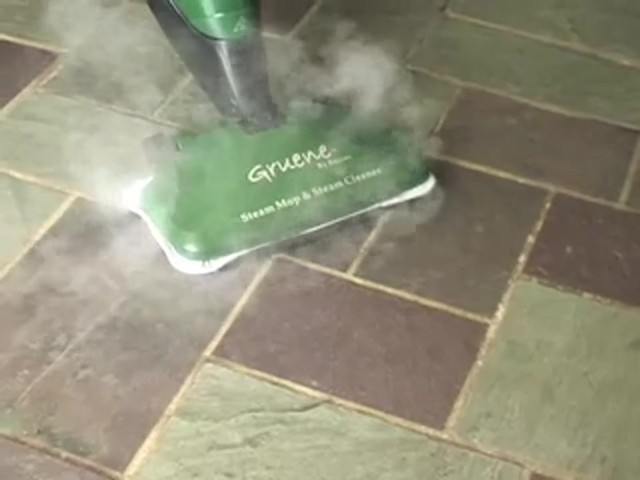 Gruene&reg; 2 - in - 1 Steam Cleaner - image 3 from the video