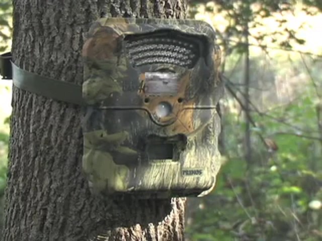 Primos&reg; TruthCam&reg; 46 Infrared Game Camera - image 1 from the video