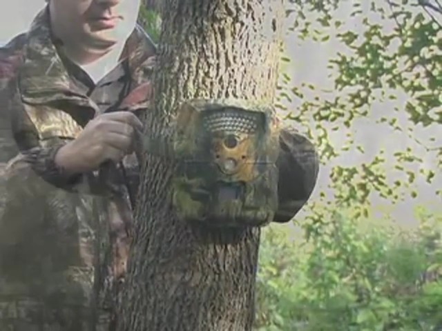 Primos&reg; TruthCam&reg; 46 Infrared Game Camera - image 3 from the video