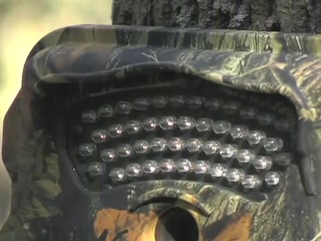 Primos&reg; TruthCam&reg; 46 Infrared Game Camera - image 4 from the video