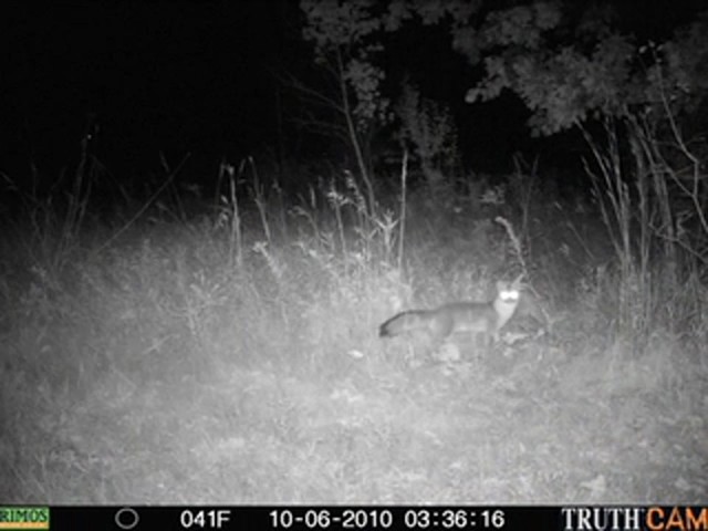 Primos&reg; TruthCam&reg; 46 Infrared Game Camera - image 5 from the video