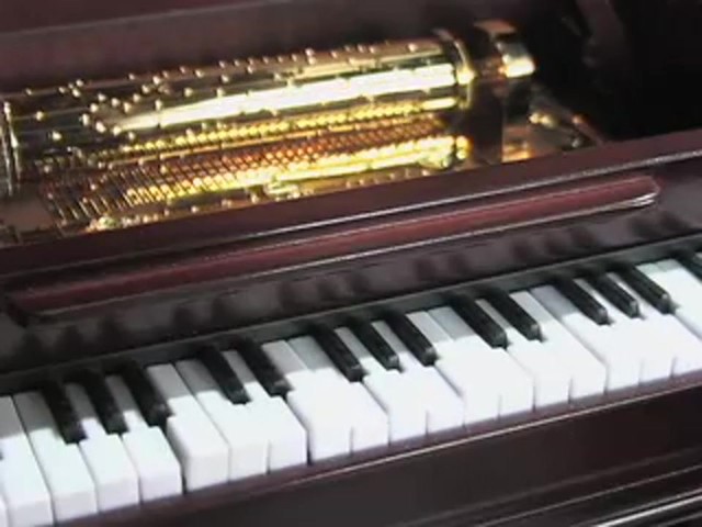 Gold Label&reg; Piano Concertina Holiday Music Box - image 3 from the video
