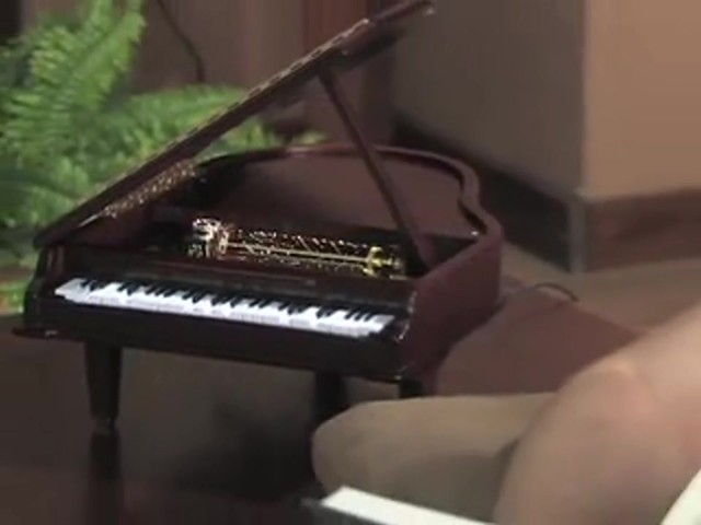 Gold Label&reg; Piano Concertina Holiday Music Box - image 4 from the video