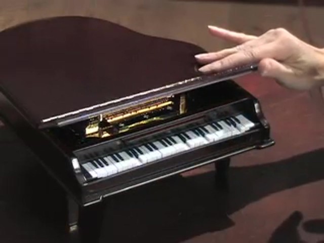 Gold Label&reg; Piano Concertina Holiday Music Box - image 5 from the video
