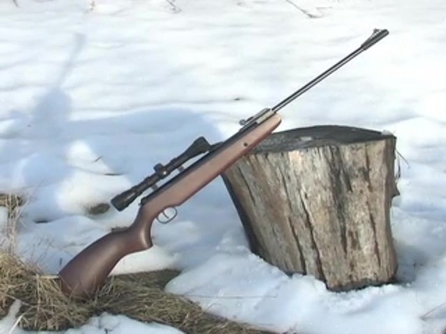 Ruger® Air Hawk .177 Air Rifle - image 10 from the video