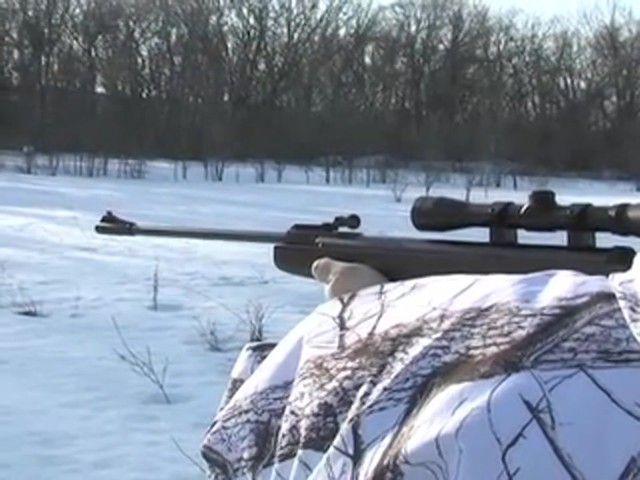 Ruger® Air Hawk .177 Air Rifle - image 3 from the video
