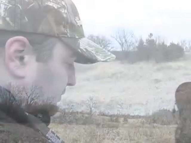 BUSHNELL 8X30 IMAGEVIEW        - image 4 from the video