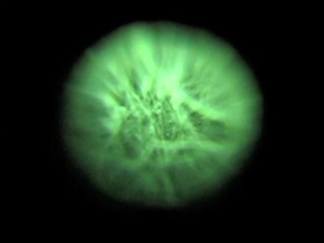 MINOX NV 351 NV MONOCULAR      - image 9 from the video