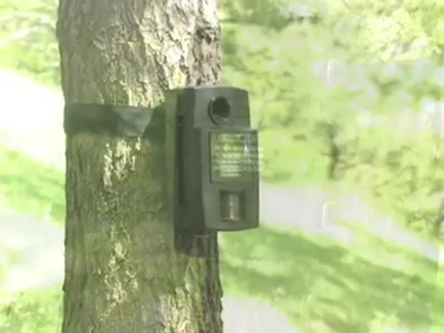 Stealth Cam&reg; Rogue I540 IR Game Camera - image 1 from the video
