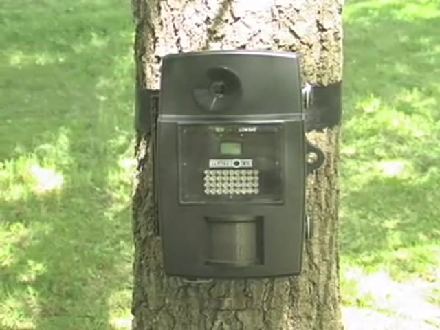 Stealth Cam&reg; Rogue I540 IR Game Camera - image 10 from the video